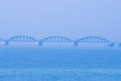 为什么说HR是值得信赖的职业规划师