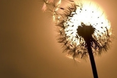 面试不谈钱？别逗了，我工作就是为了钱！